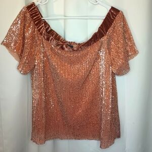 1 State All Over Sequin Top Large Pink Rose Gold Velvet Cocktail Fairy Coquette